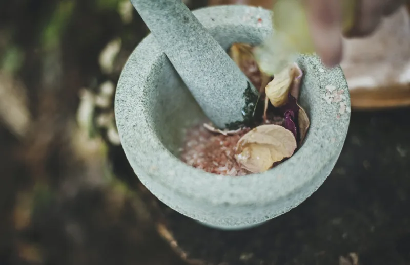 Stone mortar and pestle with dried herbs
