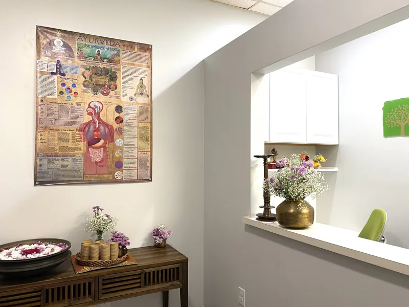 The consultation room at Minute Wonder Ayurveda